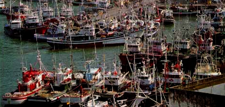 La pesca vasca en el siglo XX. Ernesto López Losa