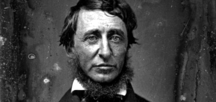 Henry David Thoreau. Antonio Casado da Rocha