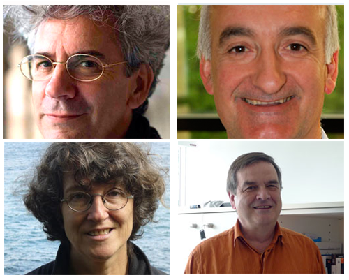 Nola aldatu gaitu Internetek?