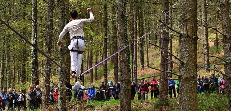 Erakunde bizitza: kulturaren alde ibiltzen