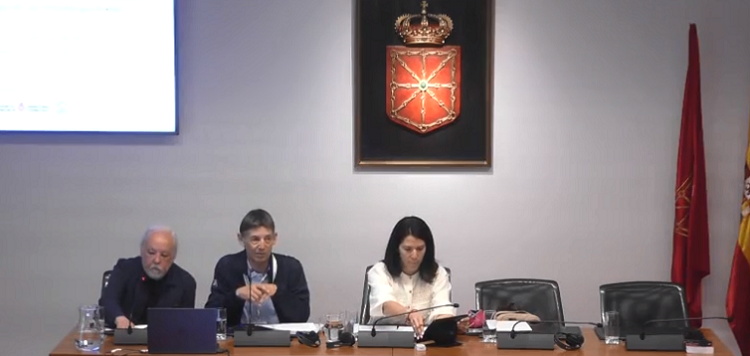 The program on the promotion of the Basque language, before the Parliament of Navarre