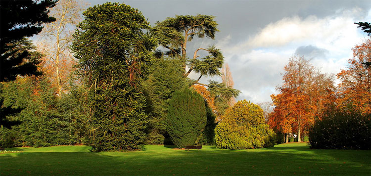 Jardinosof&iacute;a. Una historia filos&oacute;fica de los jardines