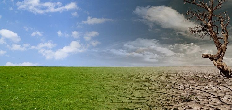 Ingurugiroa errespetatzen duten jardunbideetara salto